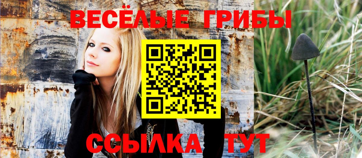 Галлюциногенные грибы прущие грибы Кушва