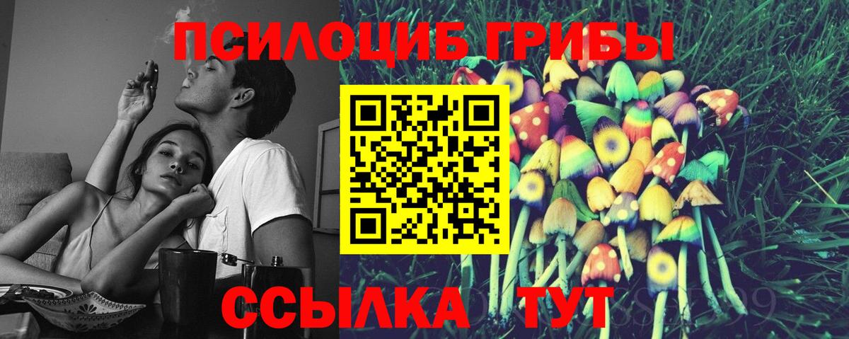 Псилоцибиновые грибы MAGIC MUSHROOMS  даркнет сайт  Вход с VPN  Кушва  Псилоцибиновые грибы MAGIC MUSHROOMS 